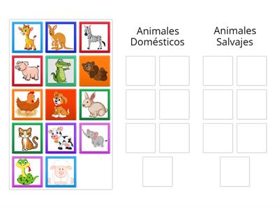 Animales domésticos y salvajes