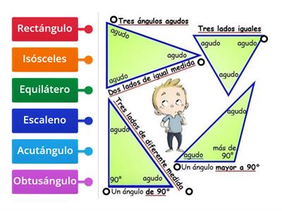 ¿Cómo se llaman LOS TRILÁTEROS?