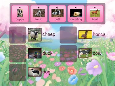 Adult and Baby Farm Animals - Match