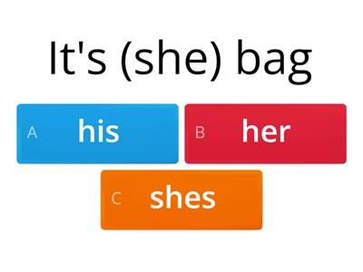 Possessive Pronouns Quiz Eng File Beginner