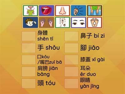 中文 KINDER Lesson 2 (Body Parts): Drag the picture to its correct Chinese word.