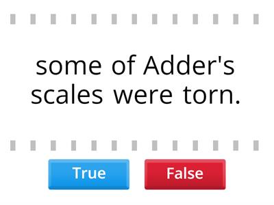 True or false1 Adder Under Attack #SEWALES