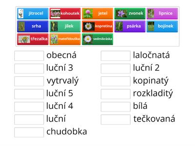 Ecosystém louka (trávy a květiny) - Vlastivěda 4. třída