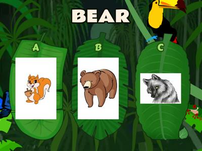 English Test N°5 - 3rd Grade (Forest Animals)