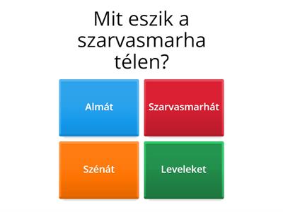 Szürkemarha