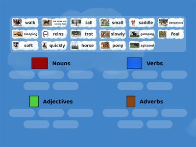 Horse Word Types