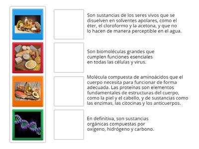 Ubica las imagenes con las definiciones correctas