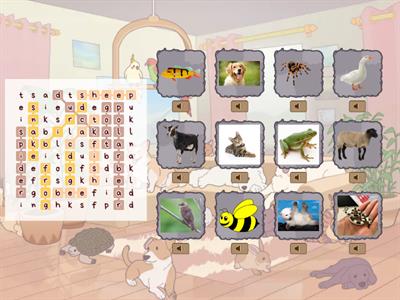 Animals / Units 1 - 2 - 3 - 4 - 5