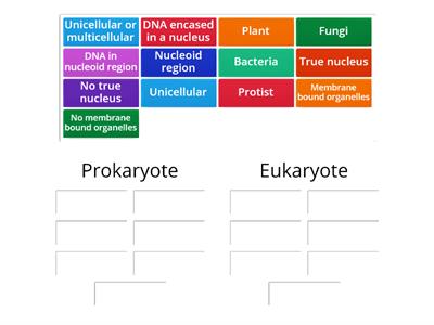 Classify Eukaryote vs Prokaryote
