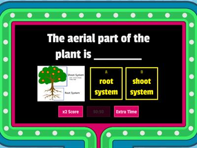 SHOOT SYSTEM