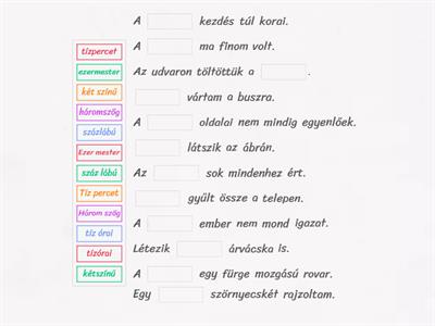 Tedd a megfelelő mondatba! 