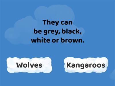 AS2 U1 Wolves VS Kangaroos