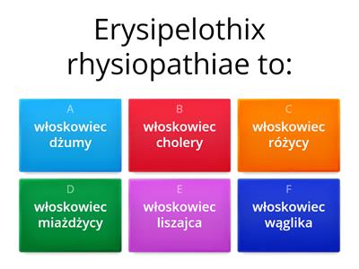 Actinomyces, Erysipelothrix i Listeria