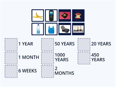 TIMELINE K4 