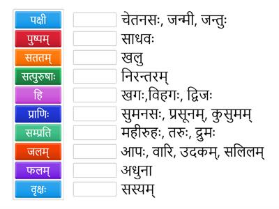 8TH SANSKRIT 2LESSON SYNONYMS