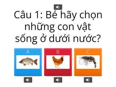 BÉ TÌM HIỂU CON VẬT