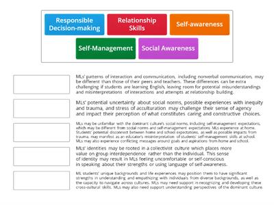 ML Considerations to Support Equity in Social-Emotional Learning