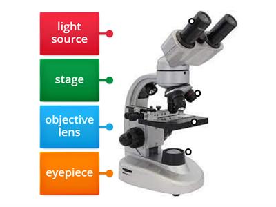 y5 sc-u1- Parts of the microscope