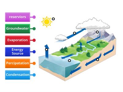 Water Cycle Labeled Diagram (3rd Grade Science)