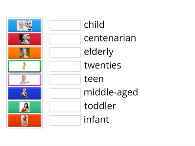 Age stages