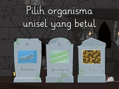 Organisma Unisel Dan Multisel