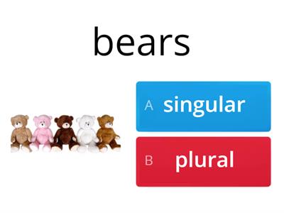 YEAR 3 :Singular and Plural Nouns