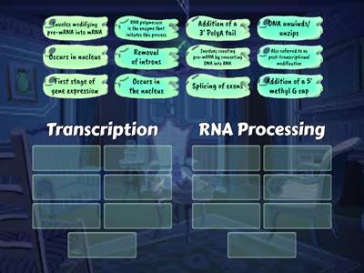 Transcription & RNA Processing