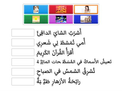 لغة عربية- فهم المقروء - مطابقة الصورة مع الوصف