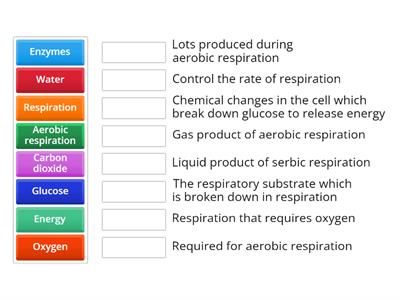 Aerobic Respiration (N4)