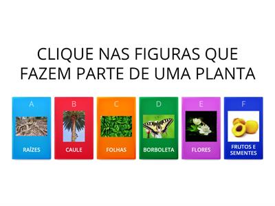  PARTE DAS PLANTAS