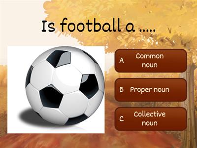  Noun Quiz