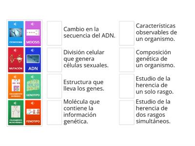 GENÉTICA Y HERENCIA