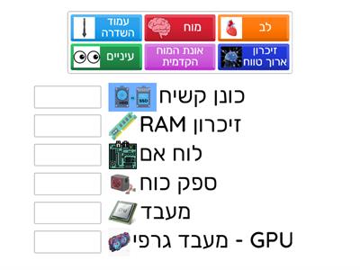 חלקי גוף VS חלקי המחשב