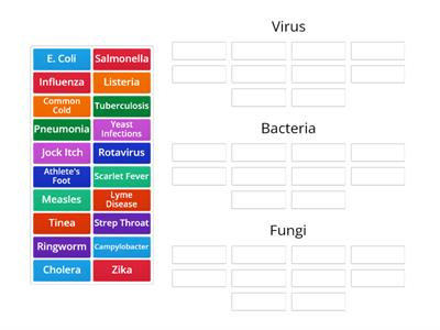 Virus, Bacteria, or Fungi??