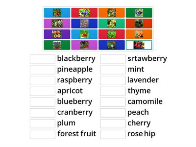 Vocabulary fruit