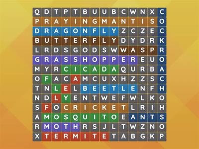 Wordsearch Insects