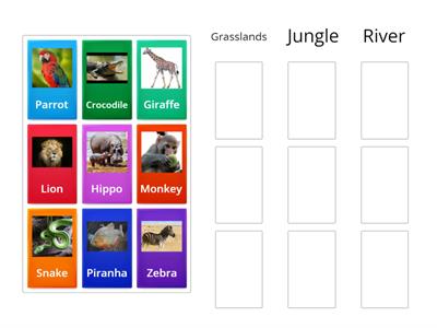 Animal habitat. Quest 2 Jungle Zone