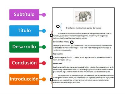 Estructura del artículo informativo 