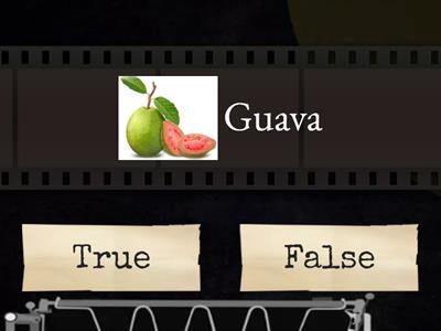 True or False Fruit