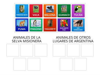 ANIMALES DE LA SELVA MISIONERA 