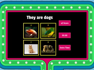 KB1_U5_ Pets Plural Quiz