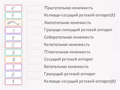 Термины