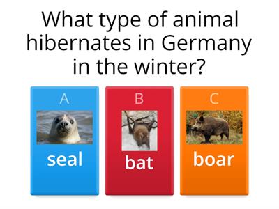 Let's get to know Germany