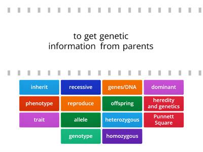 Heredity Vocabulary