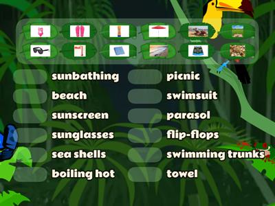 Summer Vocabulary