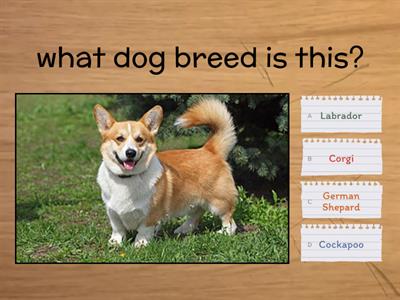 Dog breeds