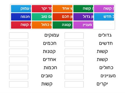 יחיד ורבים - שפה עברית 