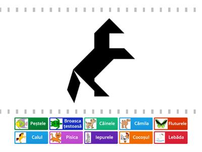 Fun Lab: Recunoști animalul? (abstractizări/ generalizări incipiente)