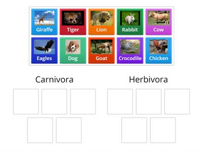 Carnivorous and Herbivorous animals