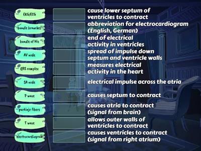 Conduction of the Heart Terms